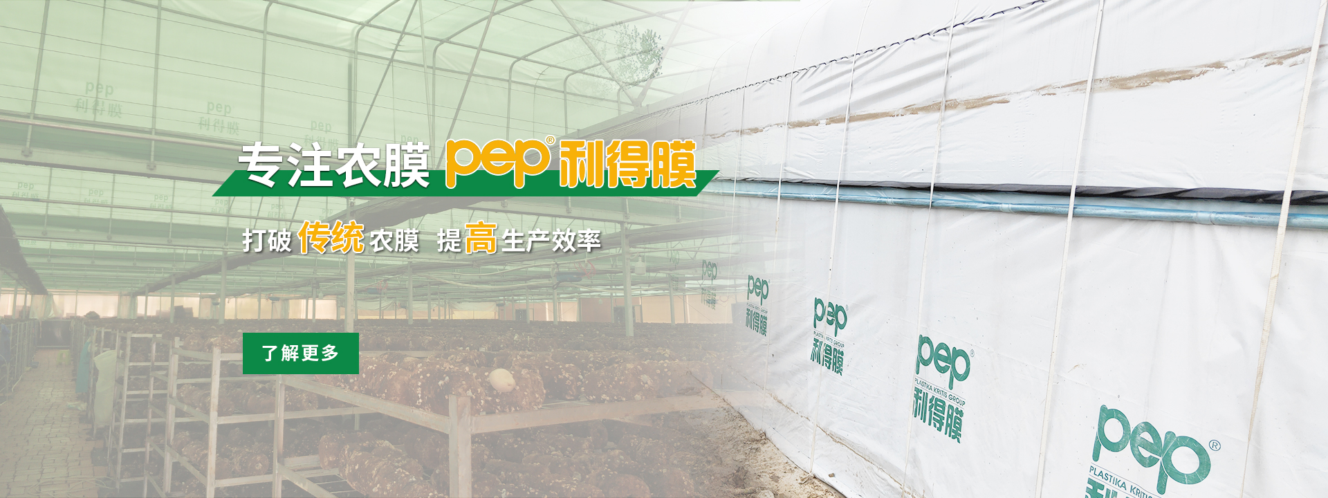 綠白膜、pep利得膜